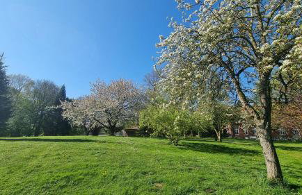 Gutshof Kämmerich - Fewo Storchennest - Foto 27