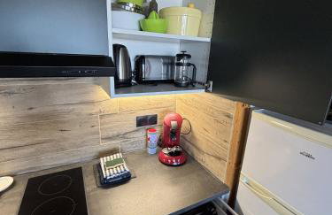 Lama-Gîte-des-Puys T3 Lamadalet, vue sud, terrasse, parking privé - Foto 9