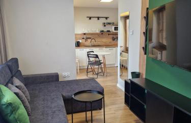 Apartamenty-Dom Pod Sosną - Foto 49