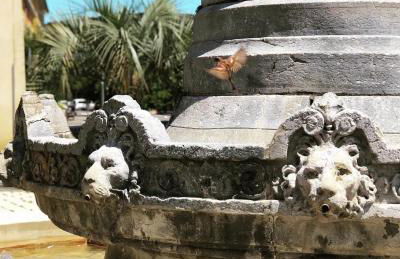 APPART IN PY' - Charmant Studio RDC plein centre - Photo 16