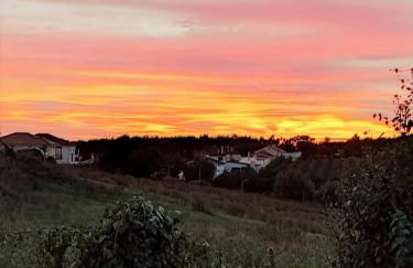 Historic Vineyard Retreat - 1785 Country Cottage in Peral - Foto 111