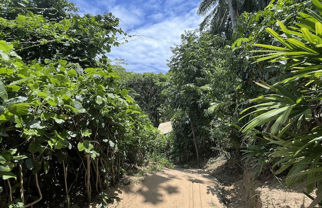 Casas Porto de Cima - Foto 43