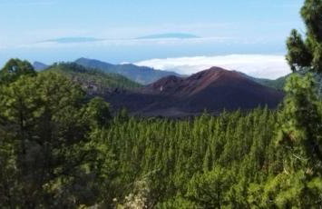 casa mo Tenerife - Foto 17