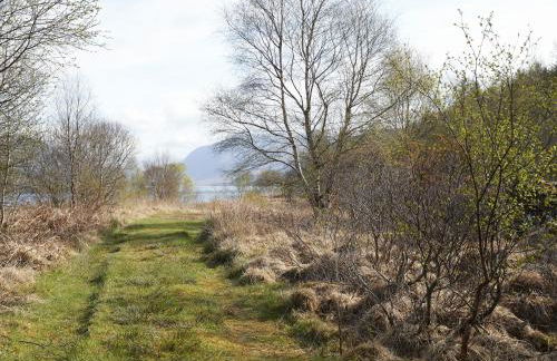 Port na Mine - Foto 30