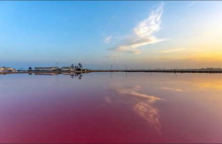 CALA LOMBRIZ SUITES villa & pool near Torrevieja & Orihuela Costa 450m from beach - Foto 30