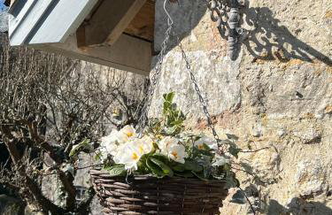 Starre Barn - Foto 57