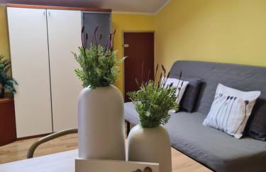 Mansarda Vigezzina Locazione Turistica - Foto 72