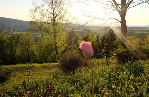 Holiday Home mit einer umwerfenden Panoramaaussicht by Interhome - Foto 27