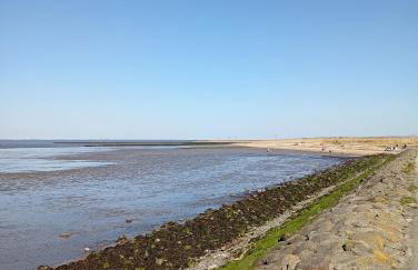 KüstenMuschel - Foto 47