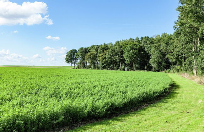 Peaceful Vacation Home With Wide View - Foto 12