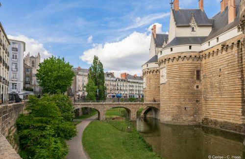 Cerise Nantes La Beaujoire - Foto 137