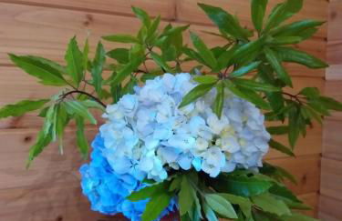 Quinta da Pavoa - Cottage House - Photo 20