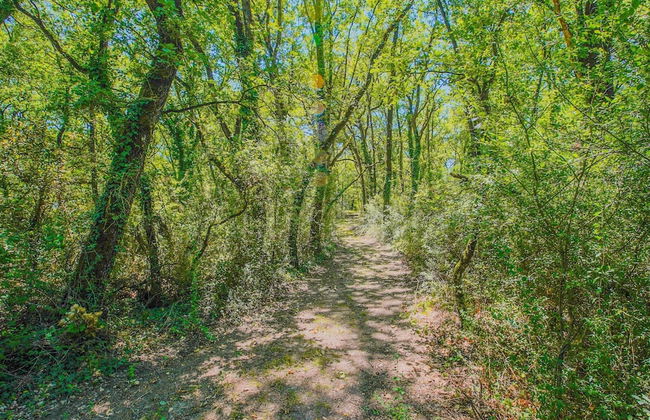 Belvilla by OYO Appartamento lo Scoiattolo - Foto 39