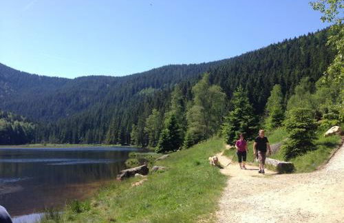 Ferienhaus im Bayerischen Wald - Foto 23