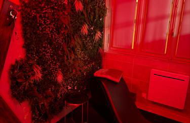 L'extasia love room sauna appartement Grenoble - Foto 11