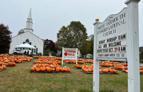 A Cozy Cape house steps to Restaurants & Beaches ~1.4 miles down scenic roads - Foto 55