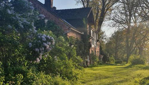 Ferienwohnung mit Elbblick - Foto 1