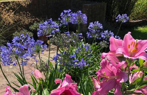 The Hen House - Foto 18