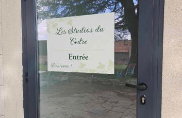 Studios du Cèdre - Foto 12