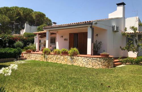 Le tre Palme - Foto 57