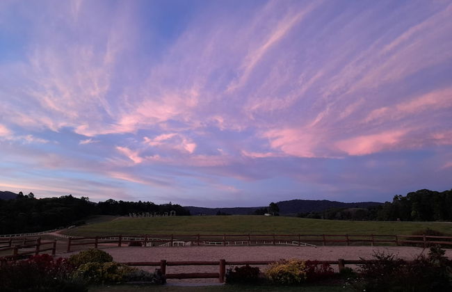 Kur Cow farm - Foto 8