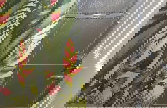 Oaklands Guest Oasis - Foto 14