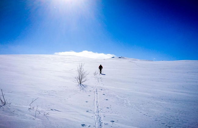 Furuheim Gard - Foto 16