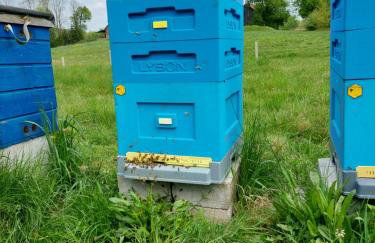 HEXAGON HONEY HOUSE+ prywatna plaża+jezioro+ stawy+ gospodarstwo+ pasieka - Foto 9