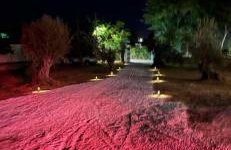 Ammoudia Summer House - Foto 10