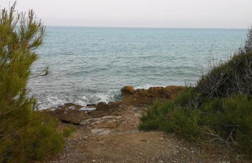 La Casa del Mirlo Azul - Peñíscola - Foto 43