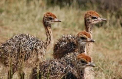 Holiday Home Alleenwiesen by Interhome - Photo 17