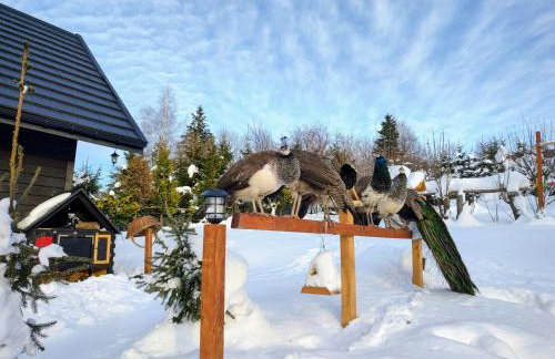 Beskidzka Ostoja - Foto 32