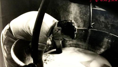 Lataria dei Magredi - Foto 2