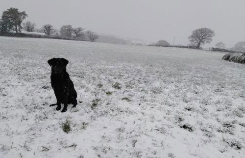 Conwy Pen Cefn Farm Holiday - Photo 26