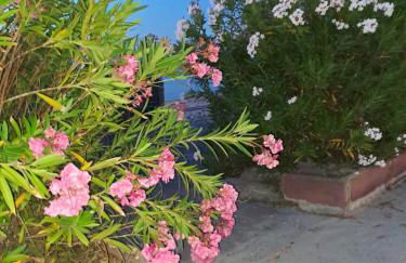 Cala di Seta Apartment - Rubino - Foto 10