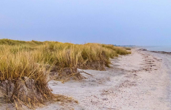 5 Person Holiday Home in Strandby-by Traum - Photo 22