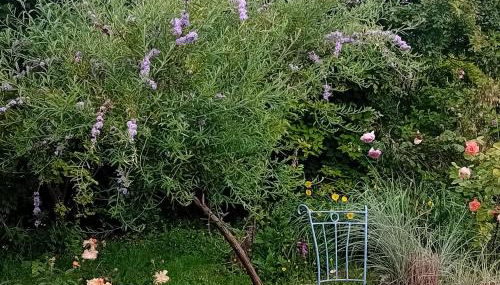 BARHOLM CROFT Holiday Cottage - Foto 2