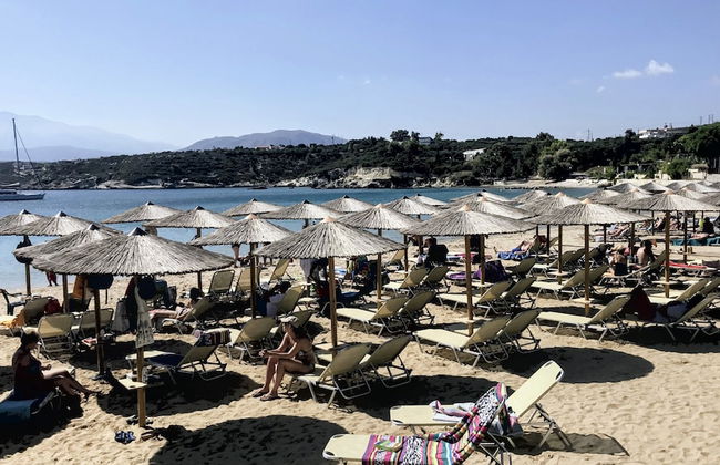 Grey House - Foto 27