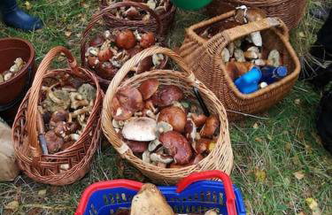 Sielska Oaza - siedlisko wiejskie z domem całorocznym - Foto 43