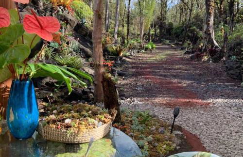 Exotic Garden cottage at amazing volcano fissure - Foto 73