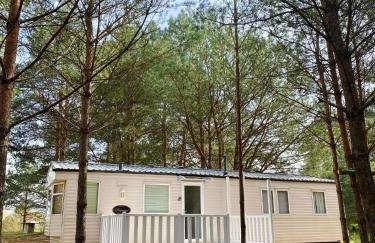 Holenderki na Zielonych Wzgórzach, Łowyń - Foto 27