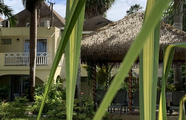 King Suite at Oceanview Resort in Jamaica - Enjoy 7 Miles Of White Sand Beach! 1 Bedroom Villa by RedAwning - Photo 22