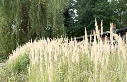 Marina Maisonette Seeblick mit Pool und Sauna - Photo 62