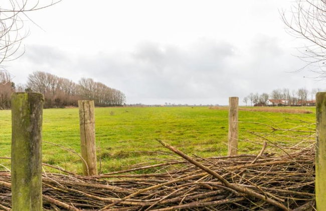 House in Grijpskerke Near Seabeach - Photo 29