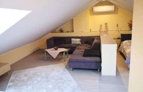 Über den Dächern von Mörfelden-Walldorf - Foto 7