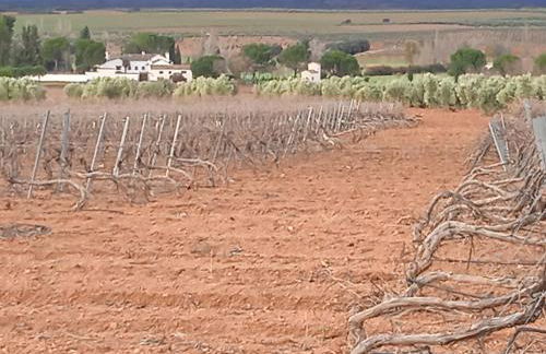 Casa Rural Señorio de Quevedo - Foto 37