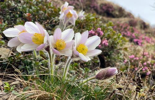 Pelmo retreat - Foto 26