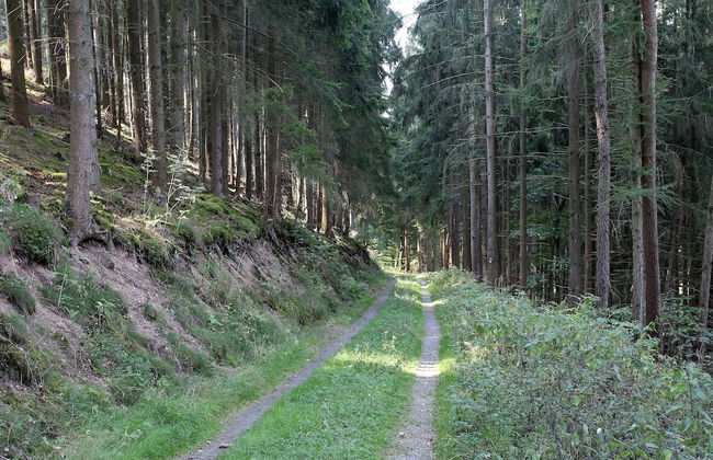 Wohnung in Medebach Nahe Skipisten - Photo 22