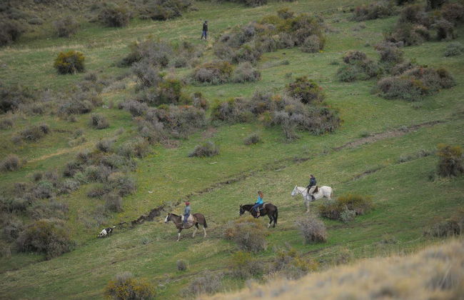 Excursion au Cerro Frías - Photo 7