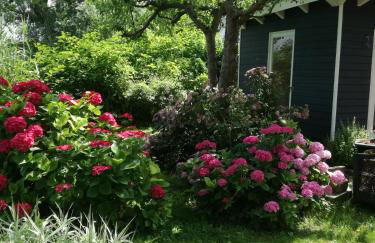 Ferienwohnung am Schöhsee - Foto 27